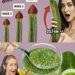 Lemon & Cucumber Fusion: The Unexpected Wellness Drink Taking Over November 2025 Lemon & Cucumber Fusion: The Unexpected Wellness Drink Taking Over November 2025