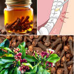 How to Make Homemade Clove Oil and the Powerful Benefits It Offers How to Make Homemade Clove Oil and the Powerful Benefits It Offers