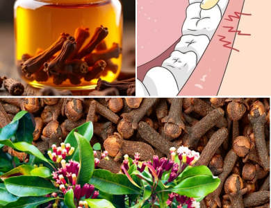 How to Make Homemade Clove Oil and the Powerful Benefits It Offers How to Make Homemade Clove Oil and the Powerful Benefits It Offers