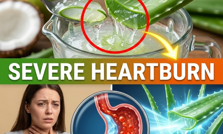 Stop Popping Antacids! The 2-Minute “Ice Shield” Aloe Hack for Instant Heartburn Relief